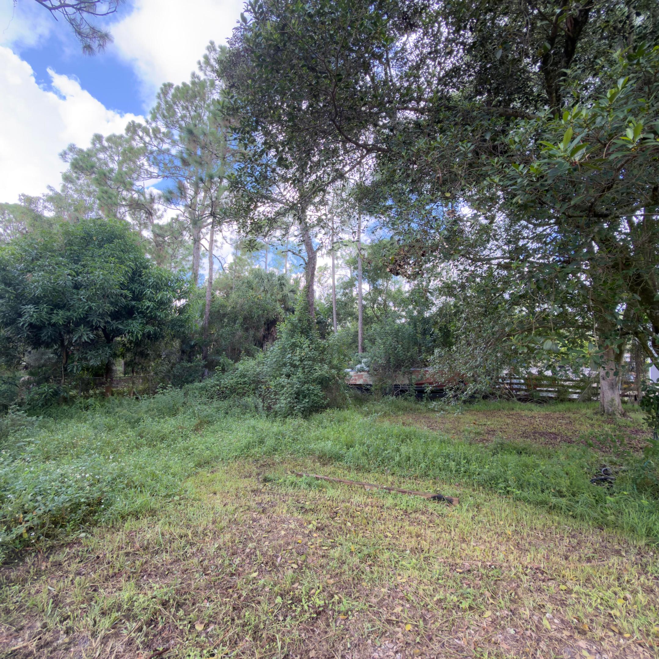 13398 46th Court N Property Photo 43