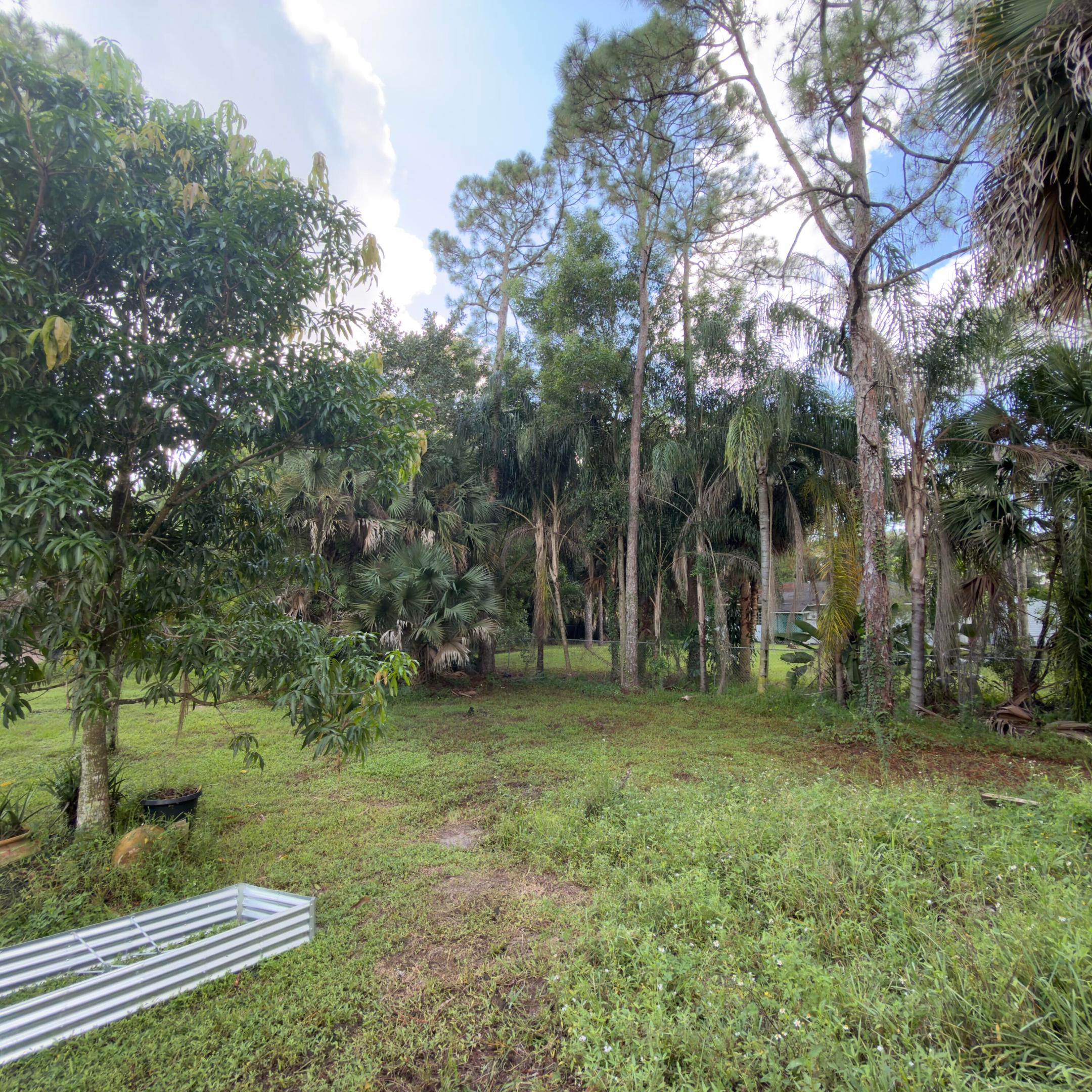 13398 46th Court N Property Photo 45