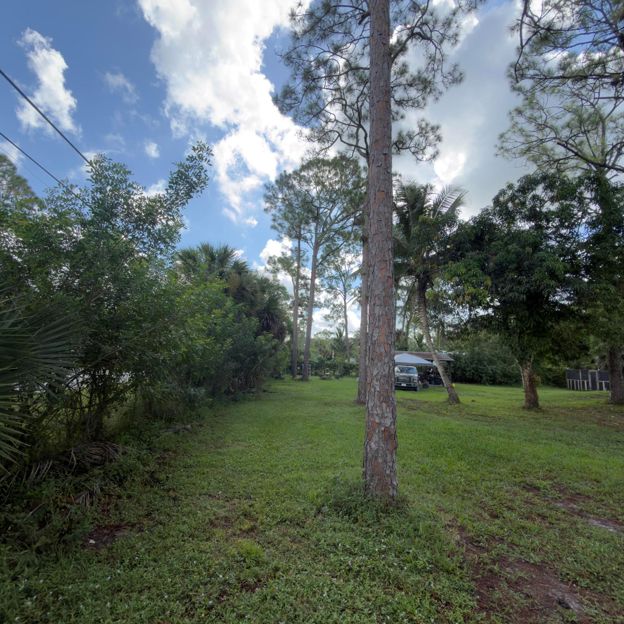 13398 46th Court N Property Photo 51