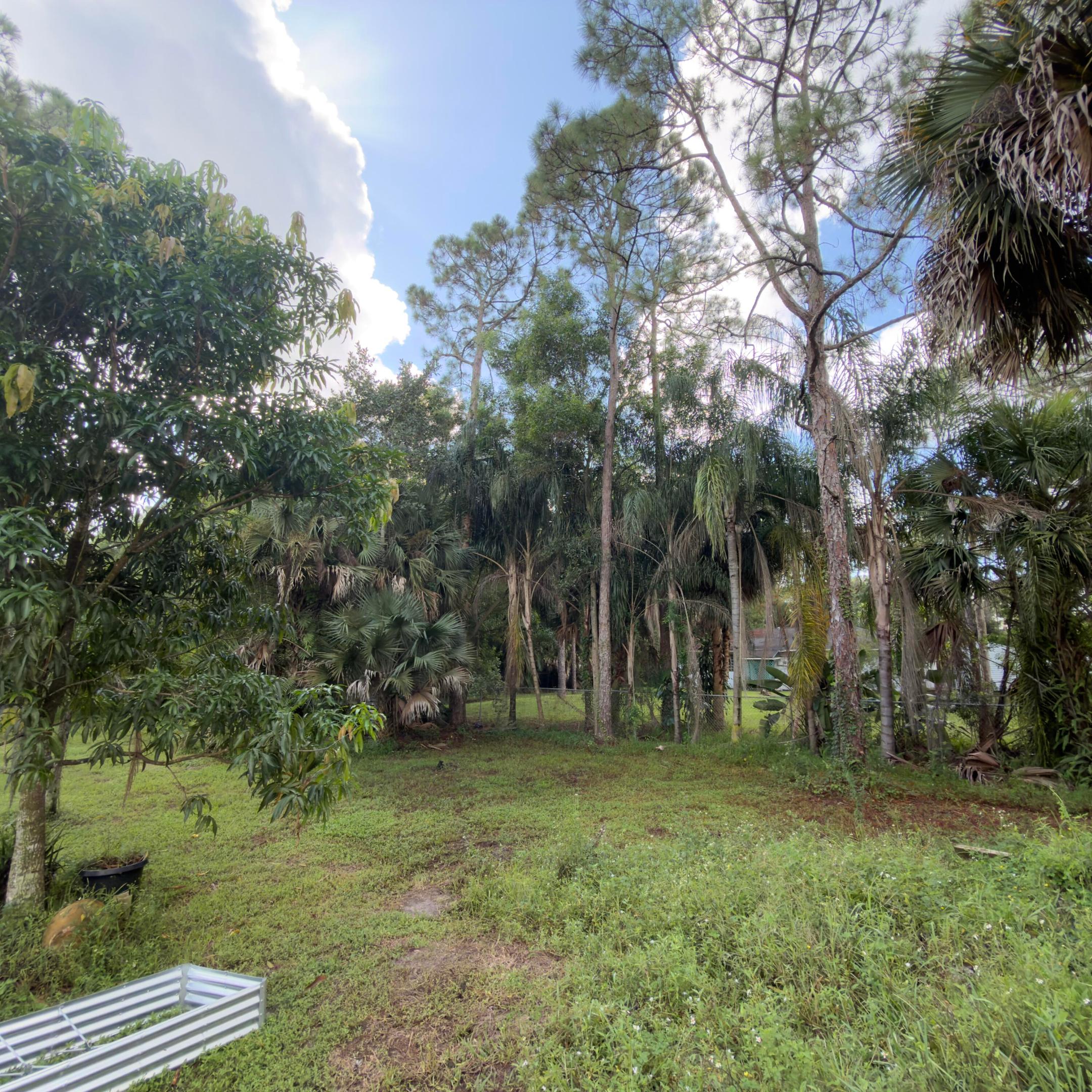 13398 46th Court N Property Photo 60