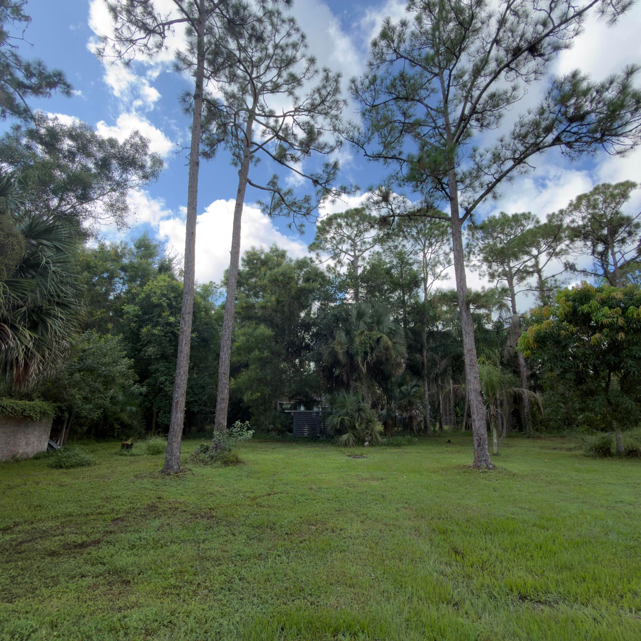 13398 46th Court N Property Photo 63