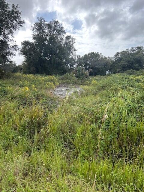 16808 Nw 290th Street Property Photo 5