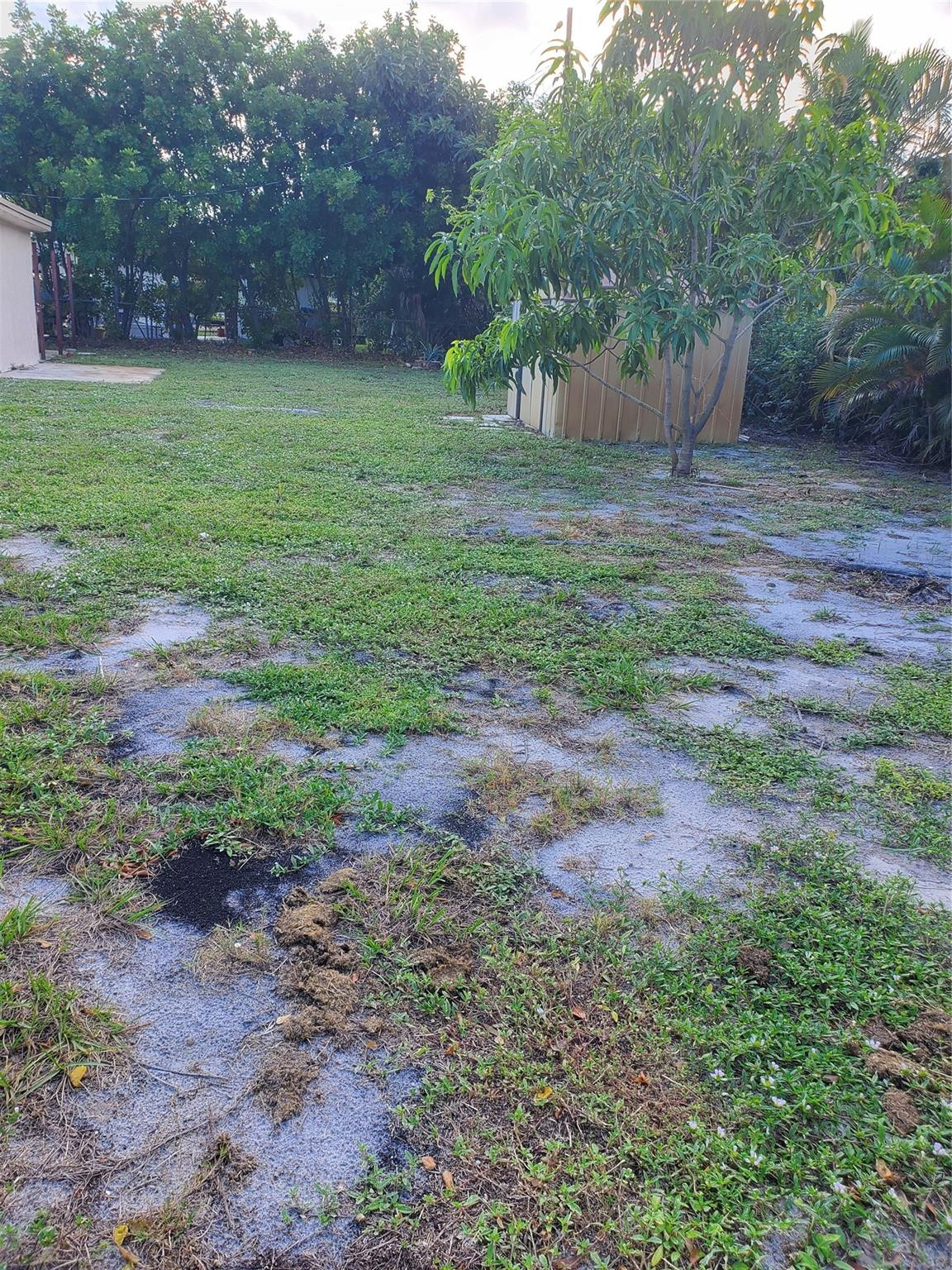 264 Ne 45th Street Property Photo 21