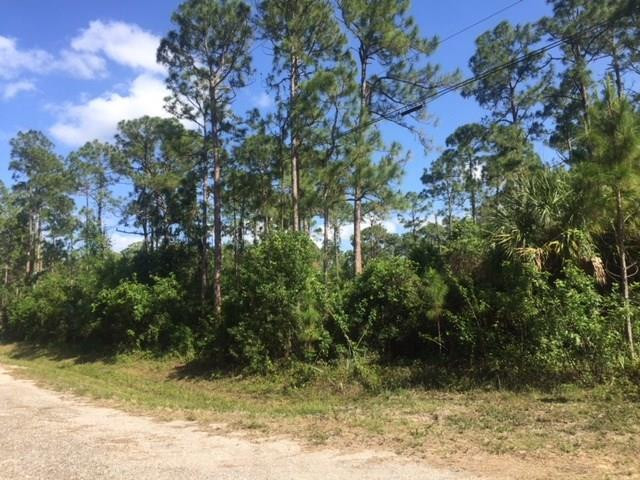 15246 63rd Place, Loxahatchee, Fl 33470 Property Photo 1