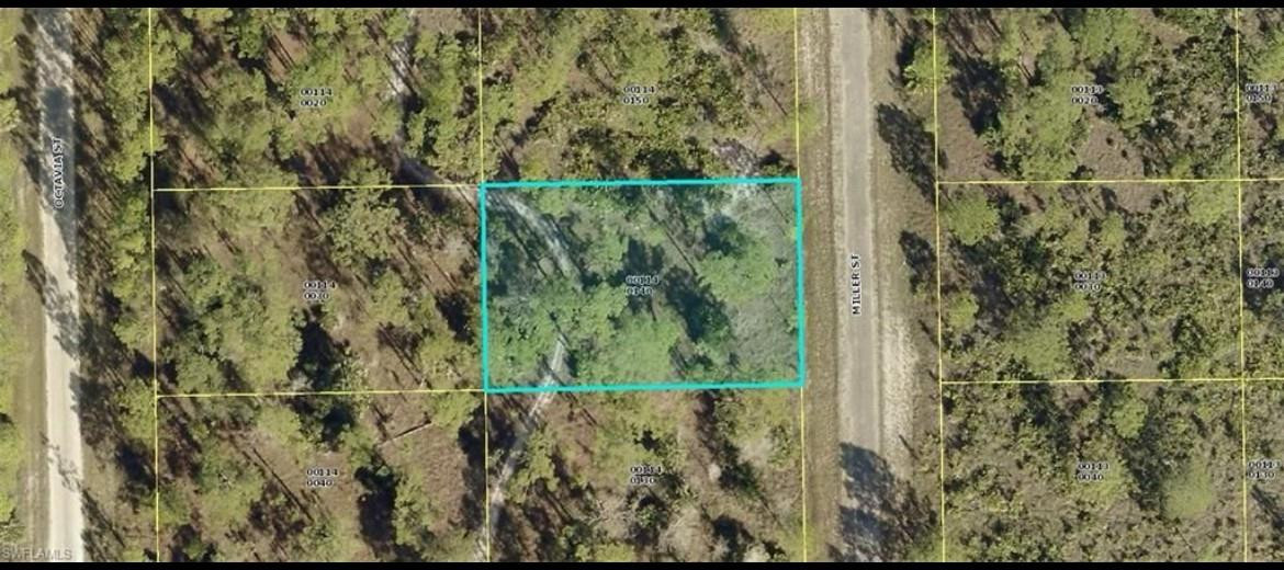 1855 Miller Street Property Photo 1
