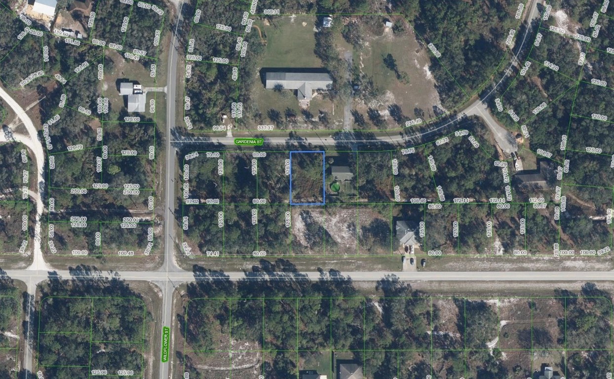 805 Gardenia Street Property Photo 1