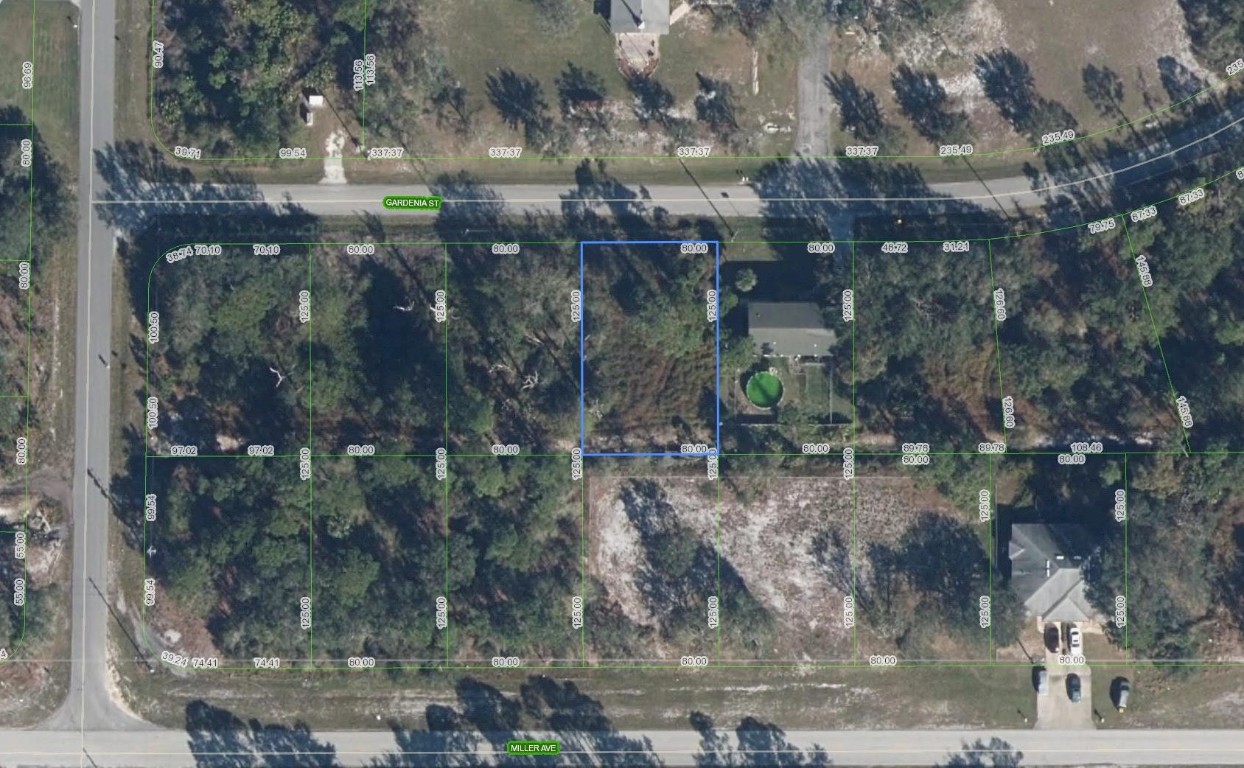 805 Gardenia Street Property Photo 2
