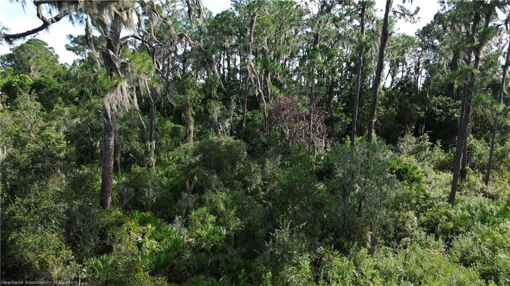 3029 Hawks Landing Circle Property Photo 7