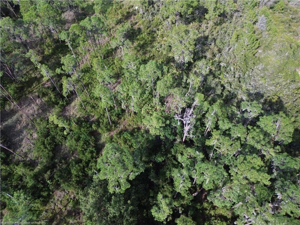 3029 Hawks Landing Circle Property Photo 15
