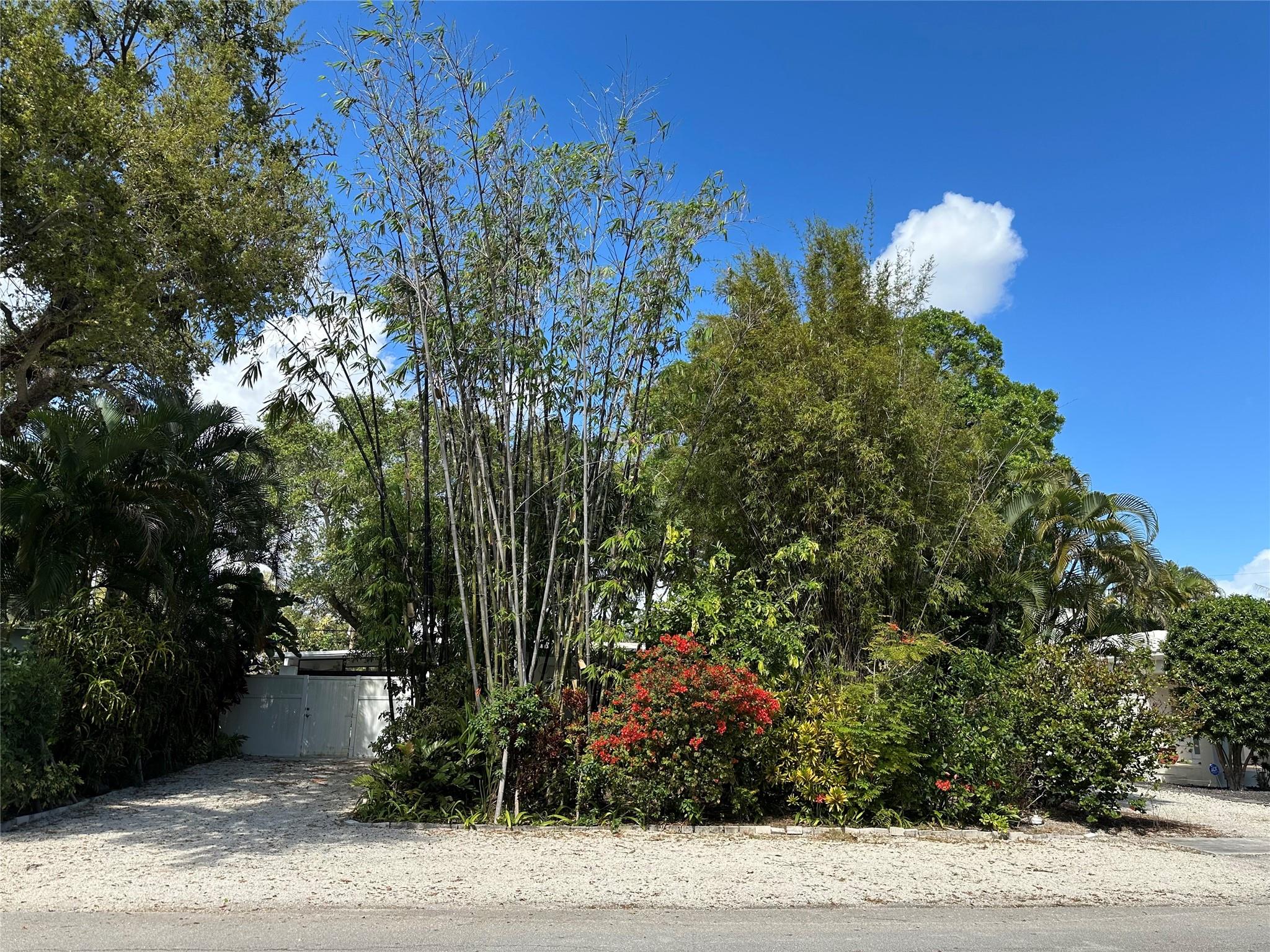 1601 Sw 12th Ct Property Photo 4