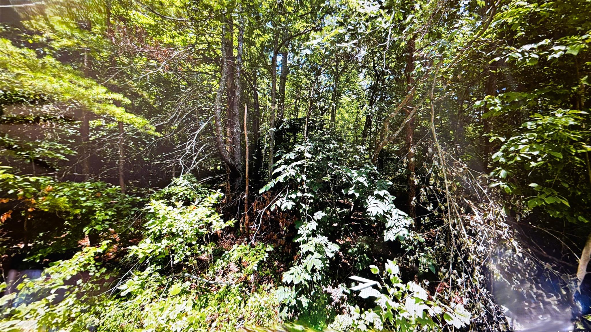 F10489468 Property Photo