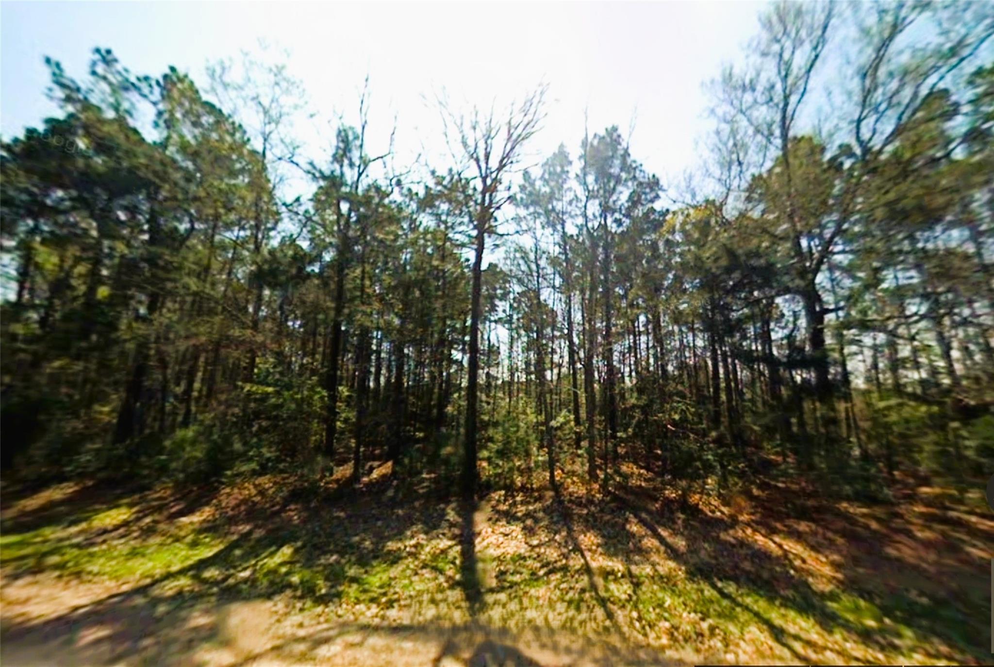 Texas Real Estate Listings Main Image