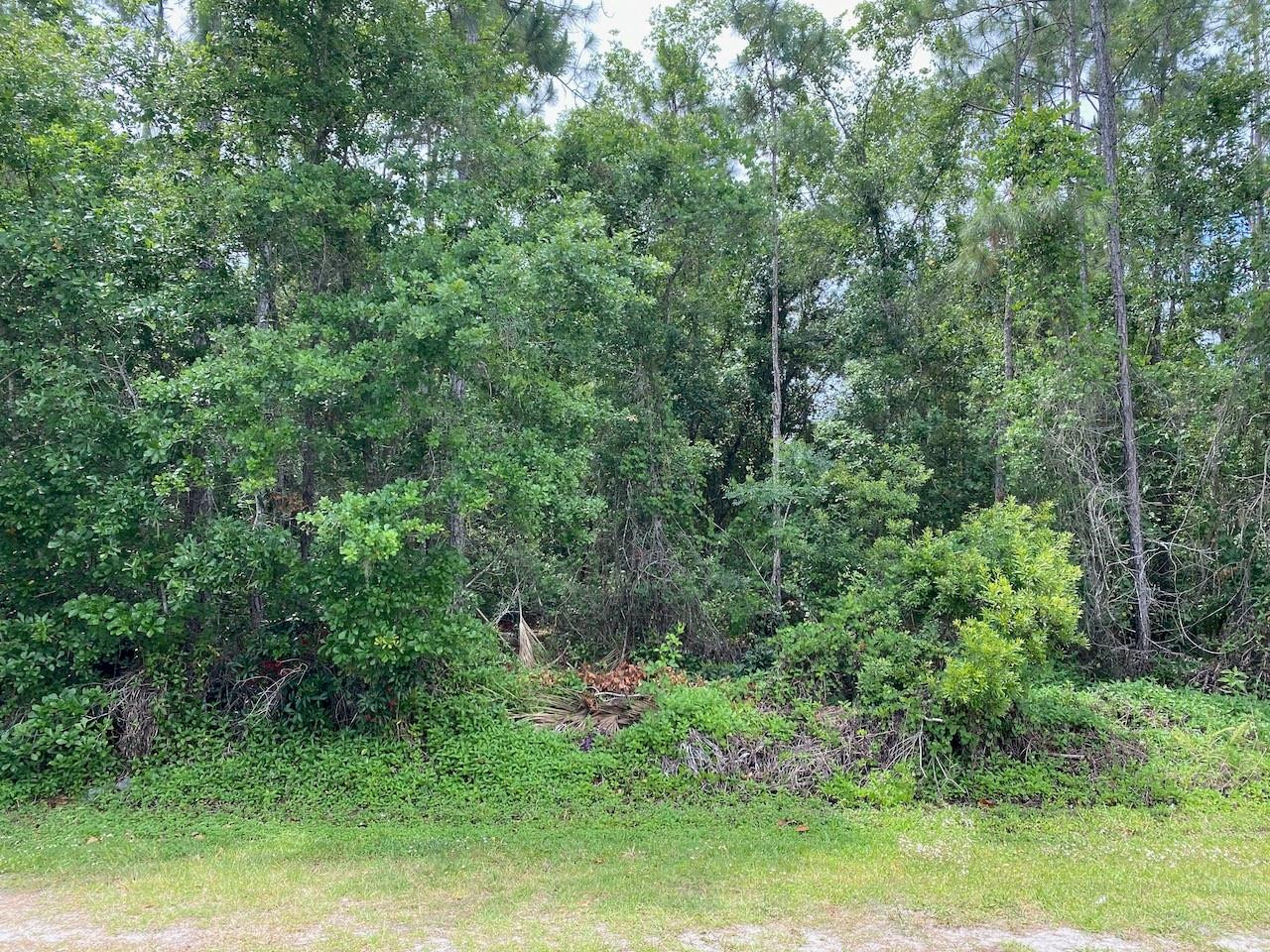 2351 Allamanda Drive Property Photo 1