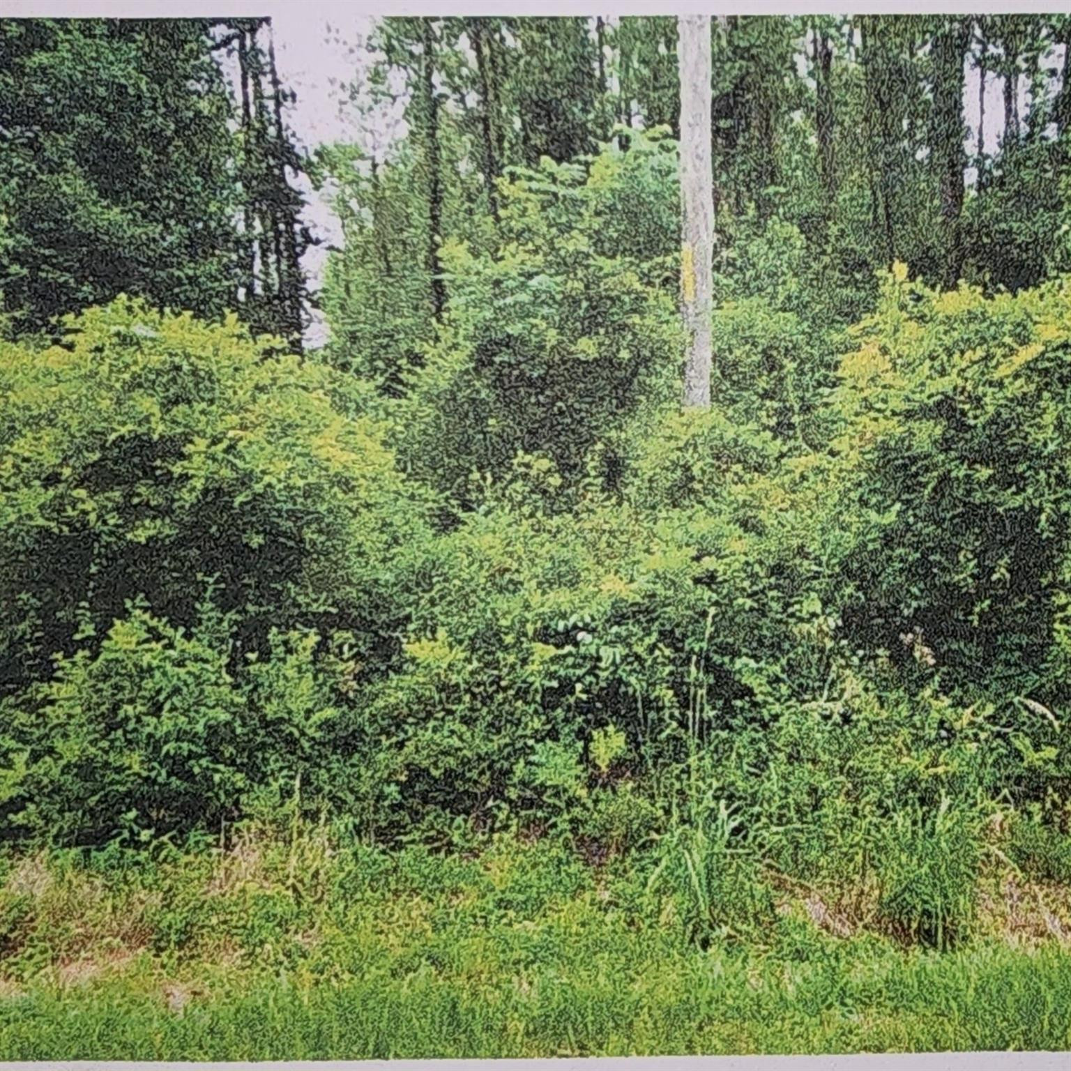 Xxxx Xxxx Fairbanks Ferry Property Photo 3