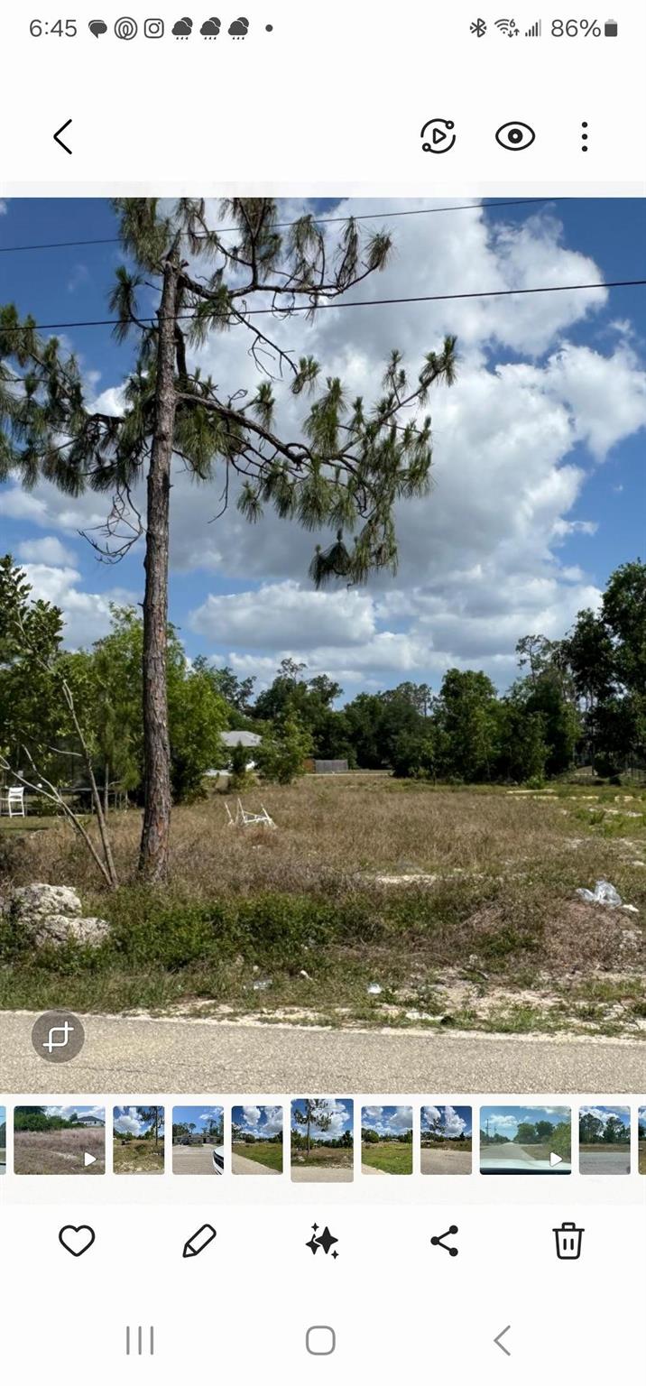 2421/2423 Joe Ave S Property Photo 5