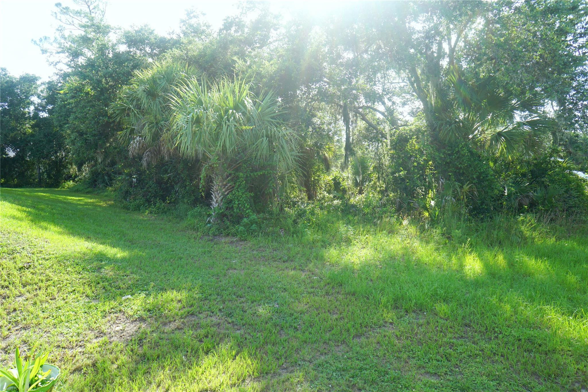 4253 Goldfair Lane Property Photo 6