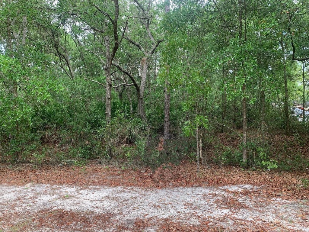 209 Highline Trail Property Photo 1