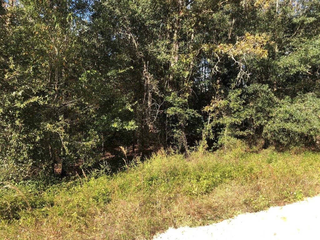 0 Evans Avenue Property Photo 1
