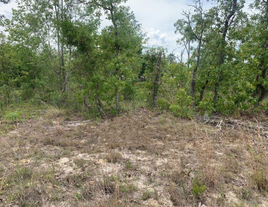 0 Monroe Street Property Photo 1