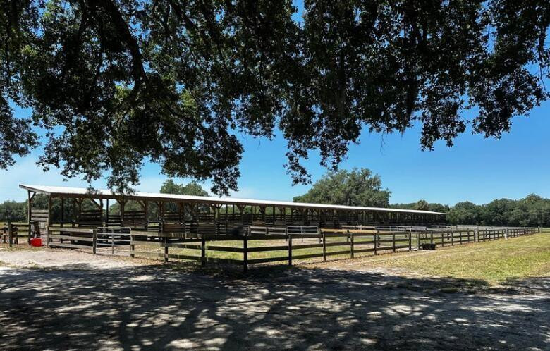 32801 Highway 441 Property Photo 26