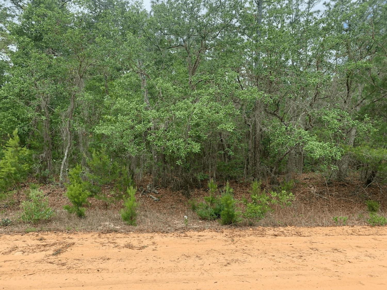 0 David Avenue Property Photo 1