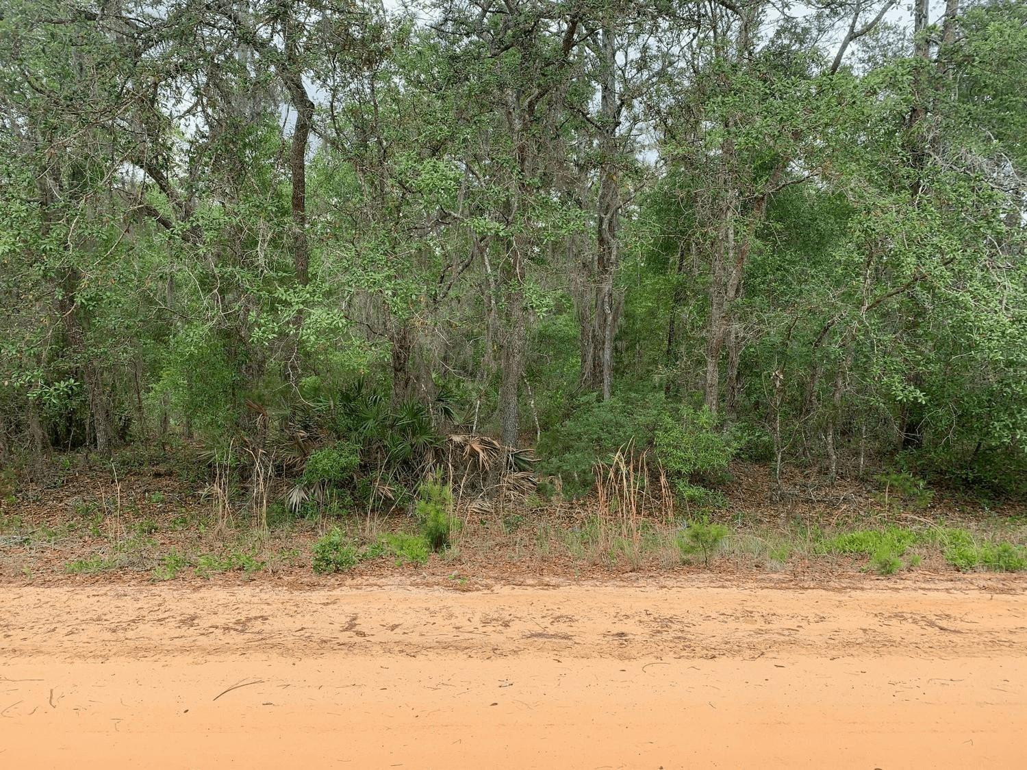 0 David Avenue Property Photo 1