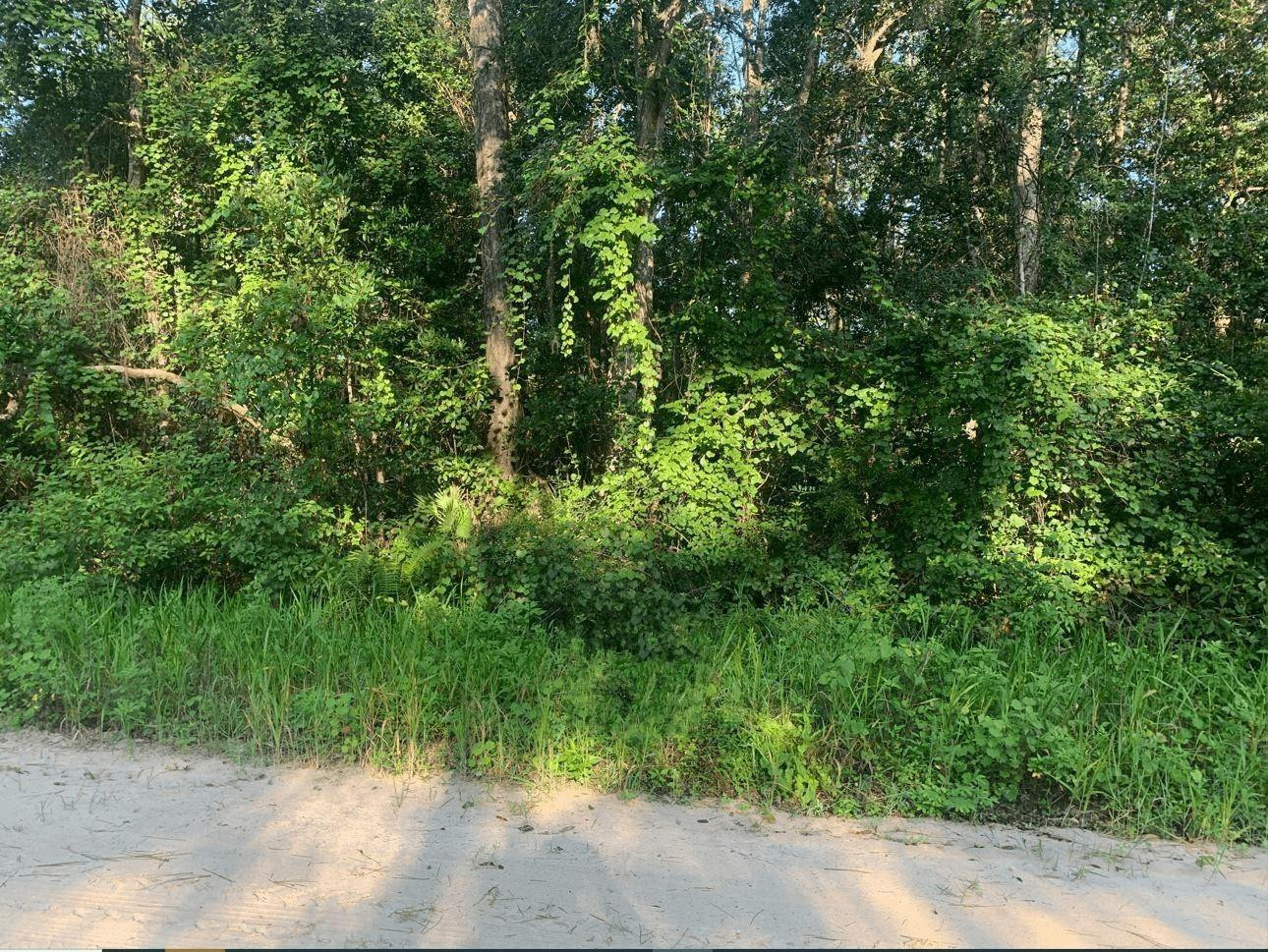 0 Ida Boulevard Property Photo 1