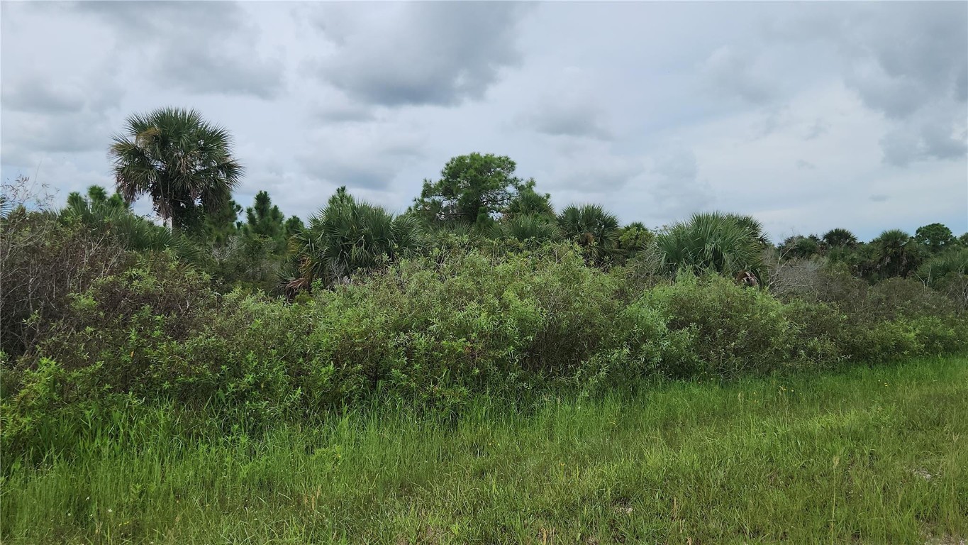 14988 NW 316th Street