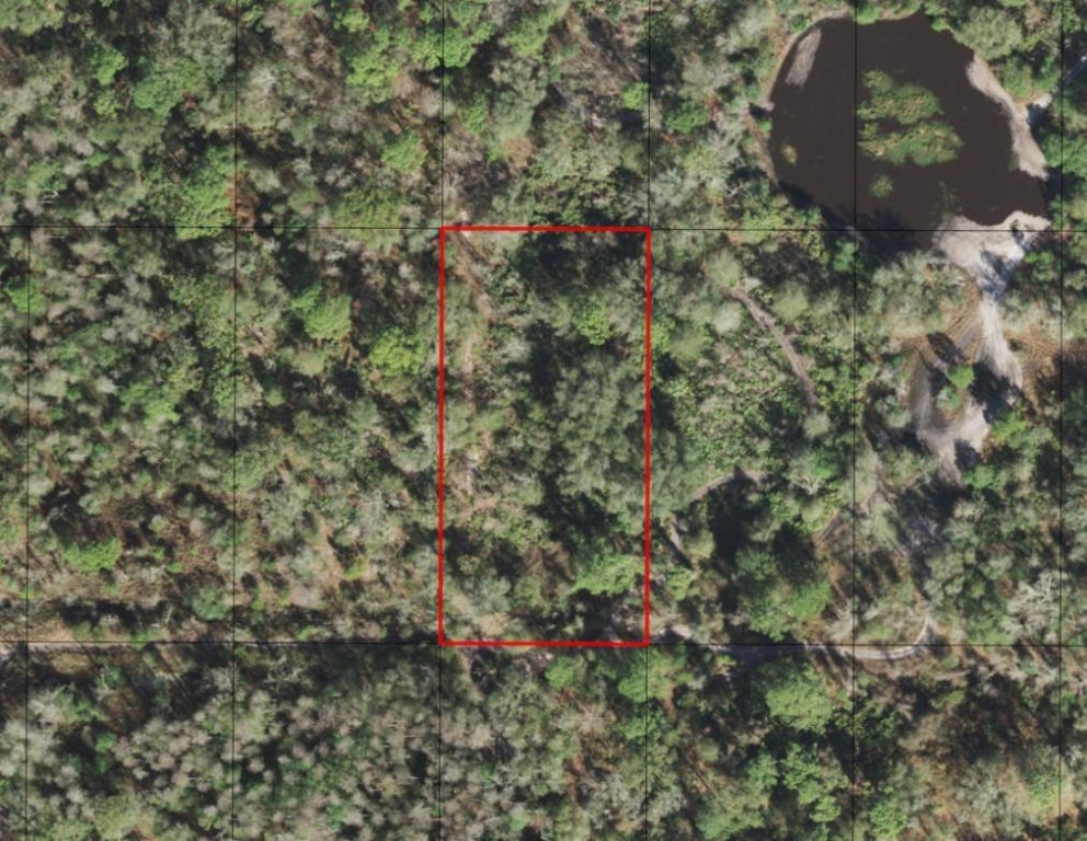 0 County Rd 54 Property Photo 2