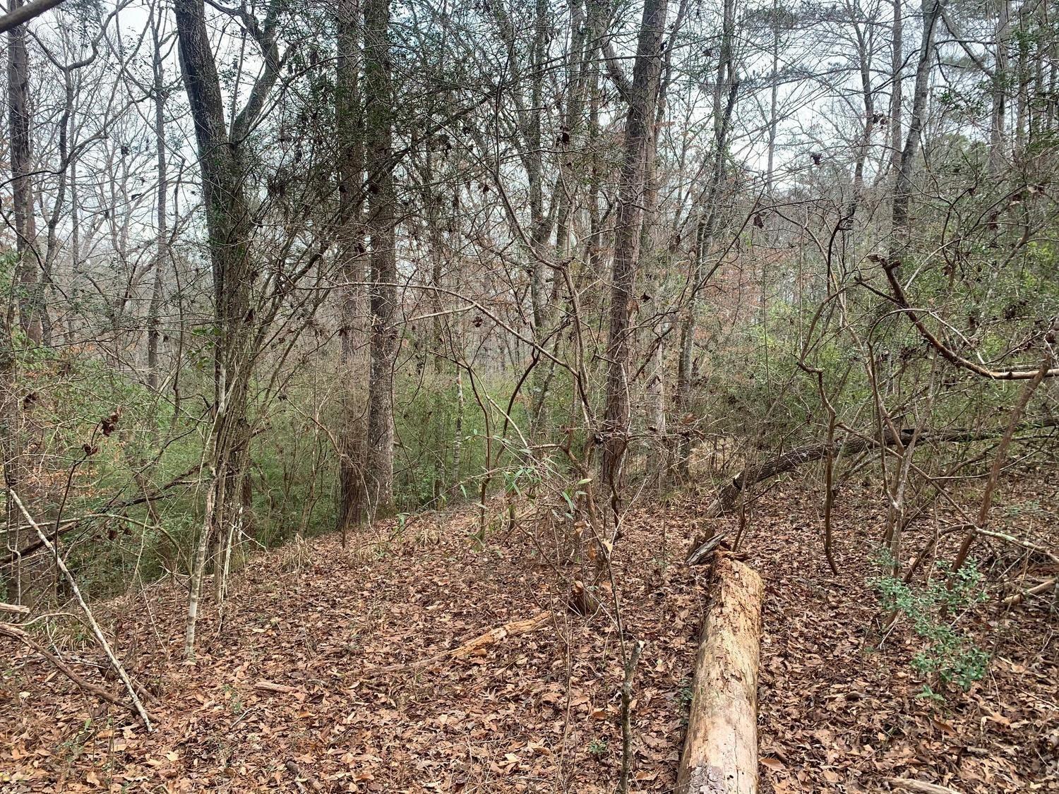 0 Griffin Circle Property Photo 1