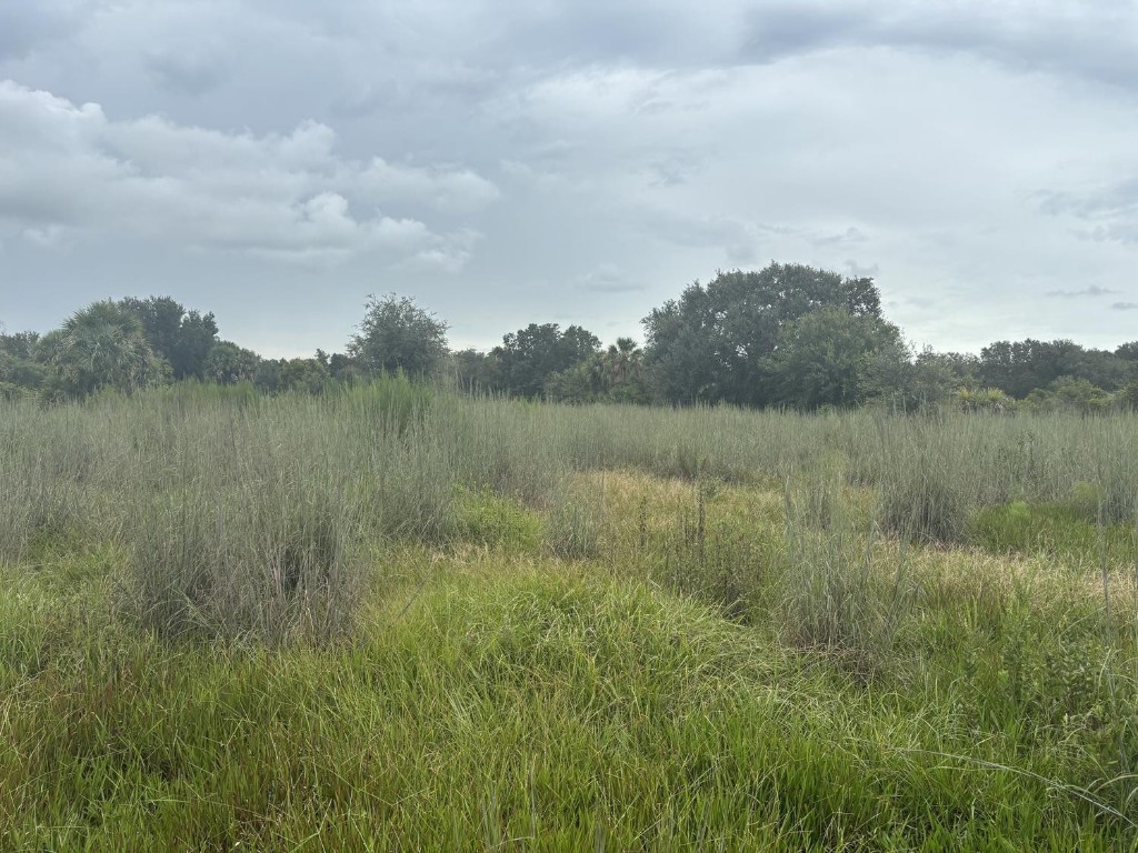 0 294th Street Property Photo 1