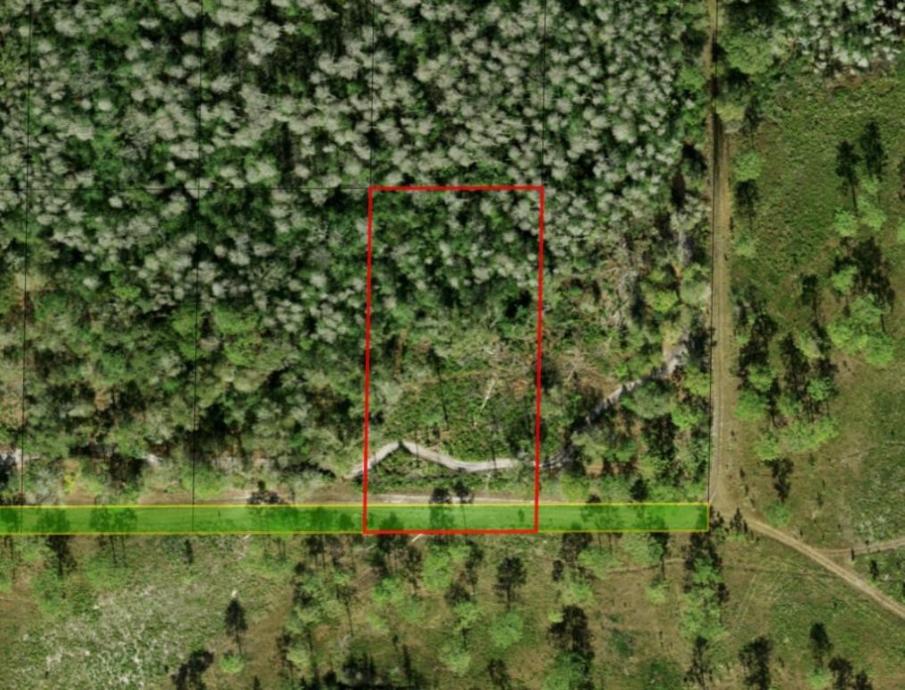 0 County Rd 54 Property Photo 3