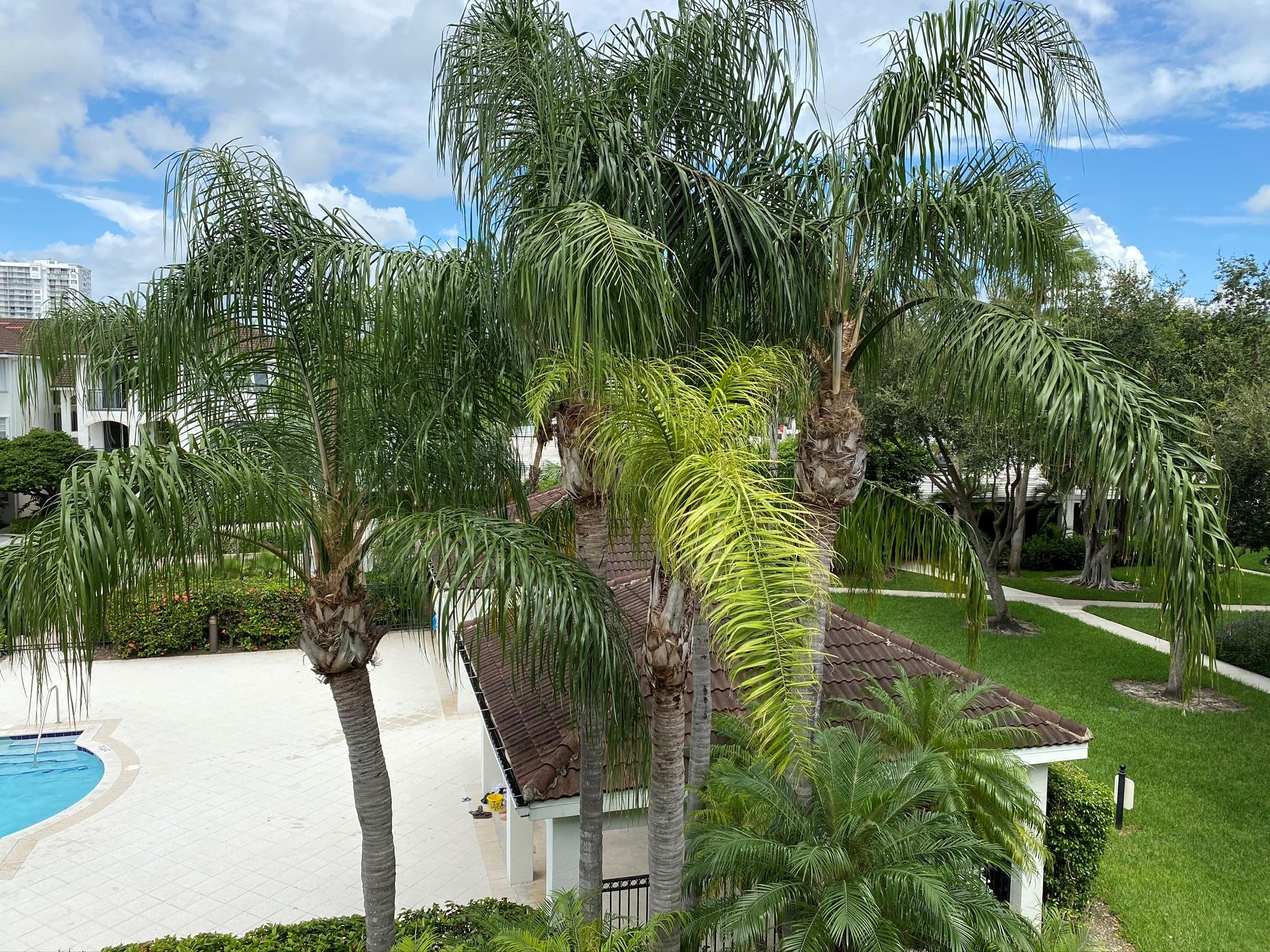 3205 Ne 184th St 9303 Property Photo 17