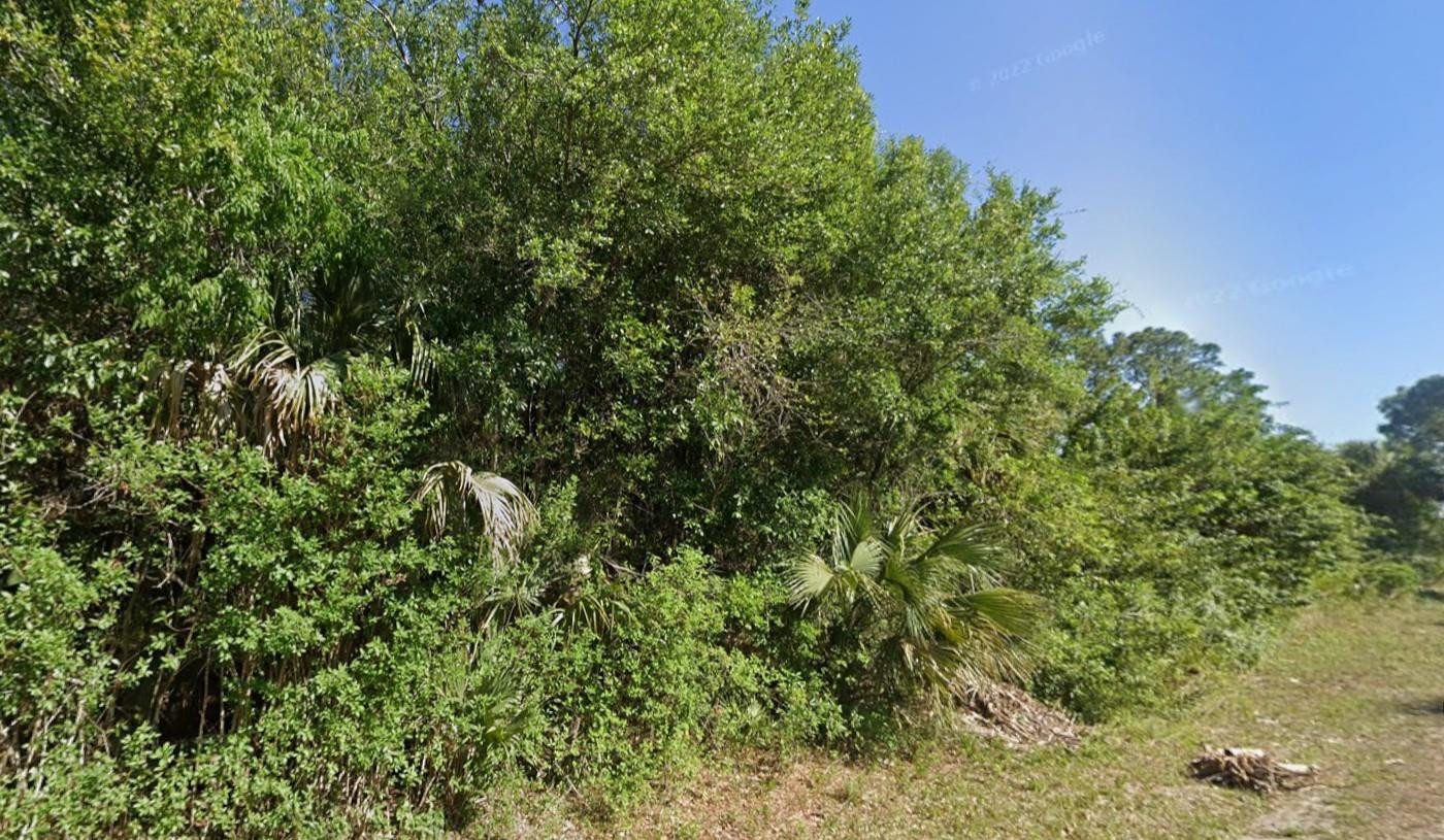 4702 Vera Avenue Property Photo 5