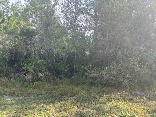 0 Old Grade Road Property Photo 2