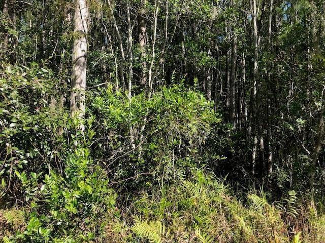 0 Old Grade Road Property Photo 3