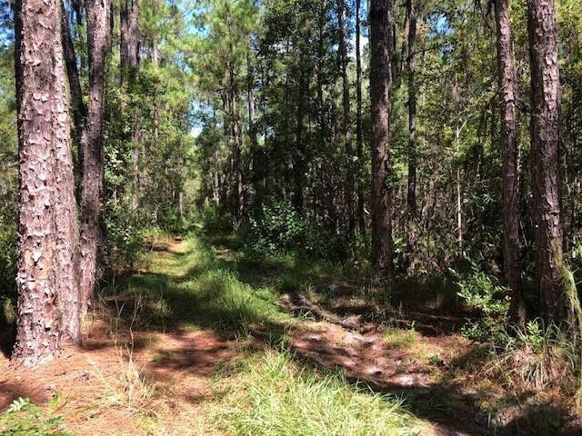 0 Old Grade Road Property Photo 1