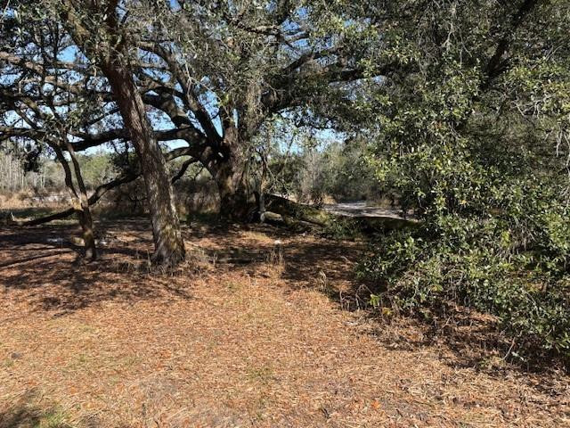 0 County Rd 54 Property Photo 1