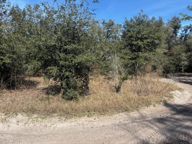 0 County Rd 54 Property Photo 2