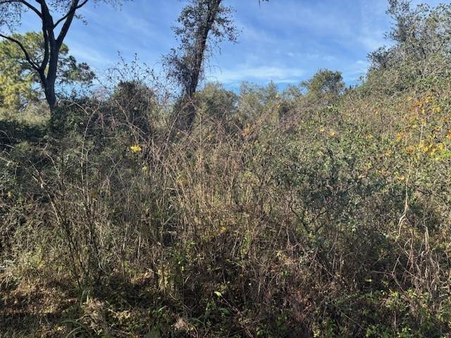 0 County Rd 54
