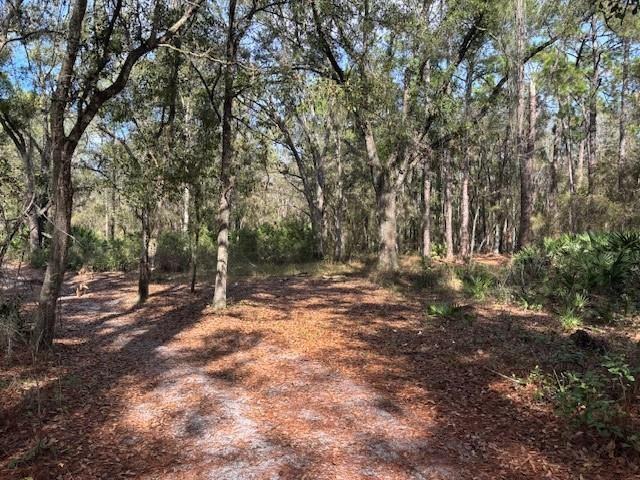0 County Rd 54