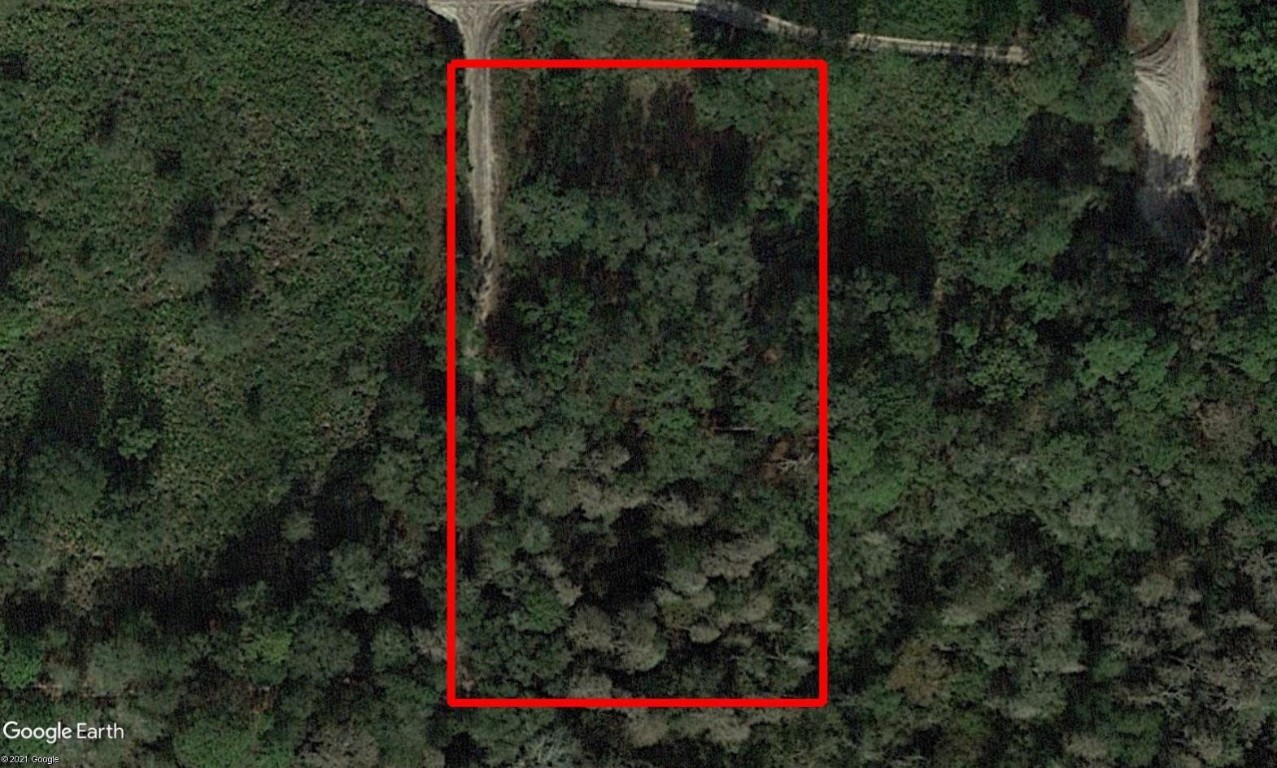 0 County Rd 54 Property Photo 1