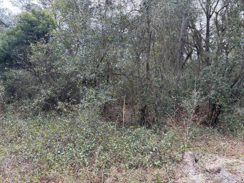 0 County Rd 54 Property Photo 1