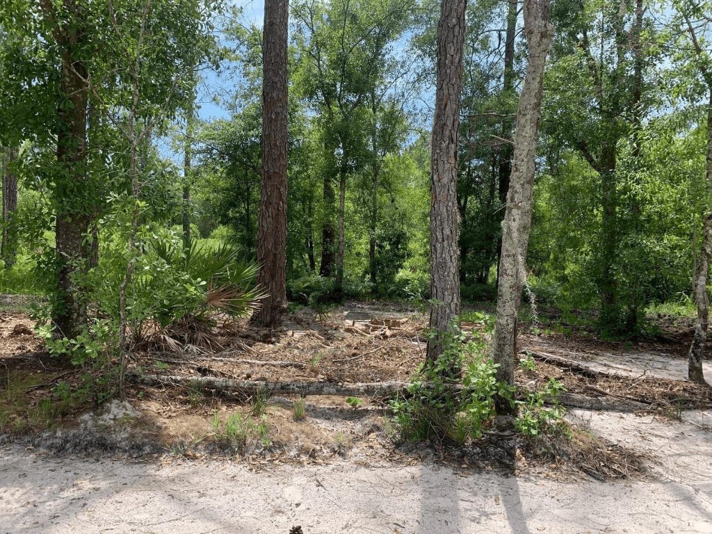 0 County Rd 54 Property Photo 1