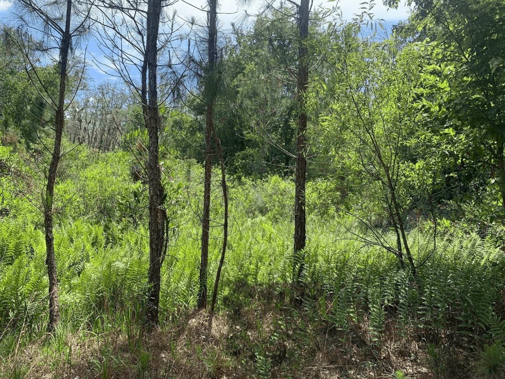 0 County Rd 54 Property Photo 1