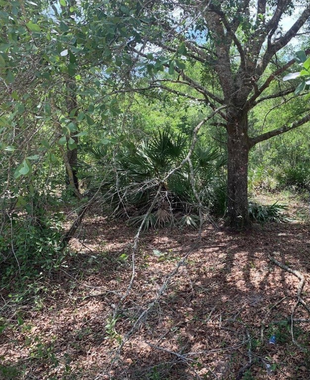 0 County Rd 54 Property Photo 1