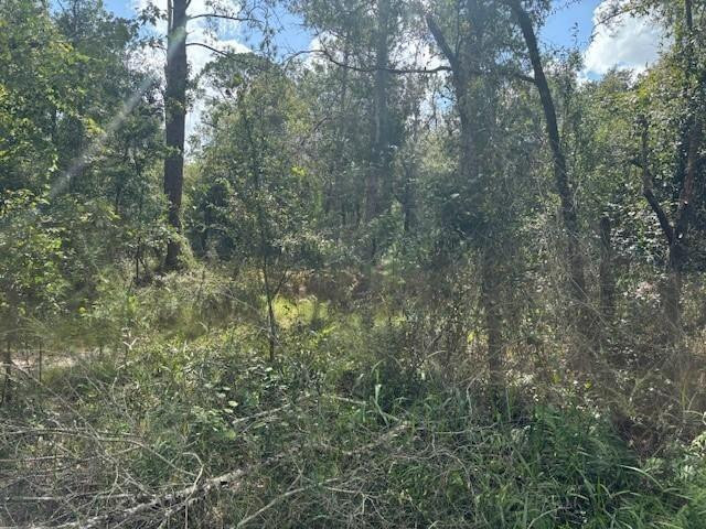 0 County Rd 54 Property Photo 2