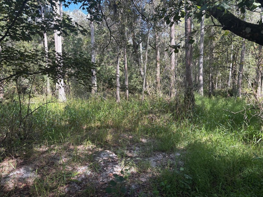 0 County Rd 54 Property Photo 2