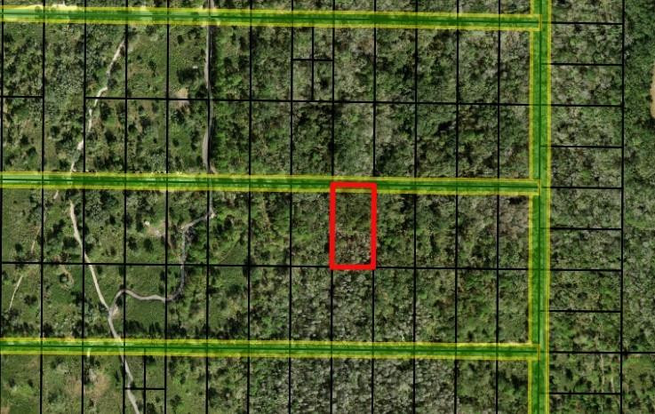 0 County Rd 54 Property Photo 1
