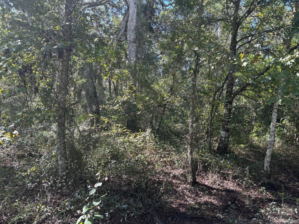 0 County Rd 54 Property Photo 2